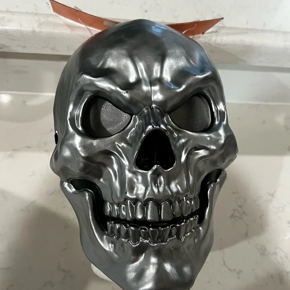 Target Silver Skull Wall Art